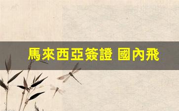 馬來西亞簽證 國內飛機(馬來西亞簽證最新政策2024年)